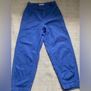 Everlane: Cobalt Blue Utility Cotton Pants